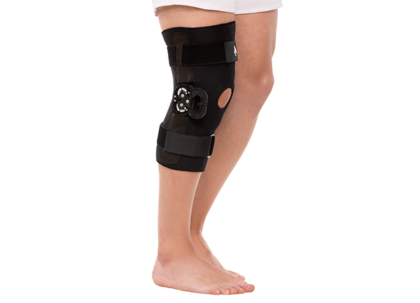 Rodilla